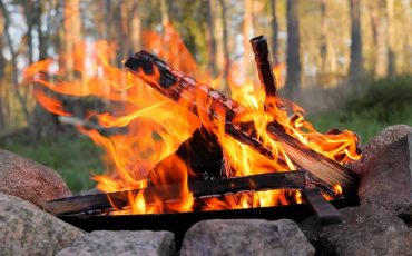 Burning Campfire in the forest